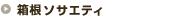 �����\�T�G�e�B