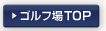 ������g�S���t��
