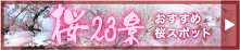 ���X�|�b�g