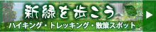 �V�΂������