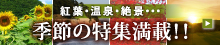 �G�߂̃z�e�����W
