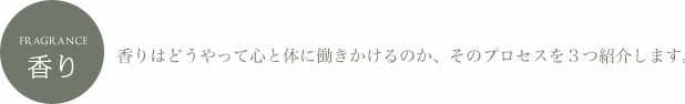 fragrance 香り 香りはどうやって心と体に働きかけるのか、そのプロセスを3つ紹介します。