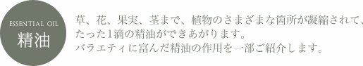 essential oil 精油 草、花、果実、茎まで、植物のさまざまな箇所が凝縮されて、たった1滴の精油ができあがります。バラエティに富んだ精油の作用を一部ご紹介します。