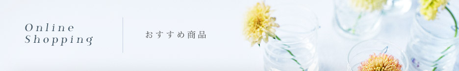 Online Shopping | ߏi