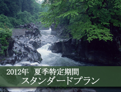 �y�ċG������ԁz�X�^���_�[�h�v����