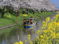 五個荘・近江商人屋敷と近江八幡・水郷巡り