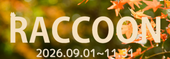 Raccon vol.29