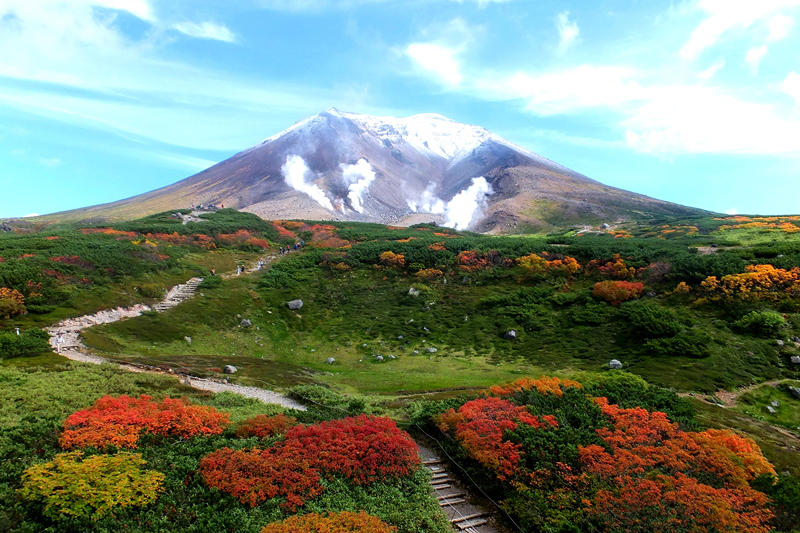 大雪山系『旭岳』散策と層雲峡･美瑛･札幌４日間
