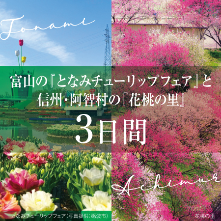 1つのツアーでチューリップと花桃の咲き誇る景色を満喫！